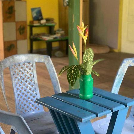 La Y Surf Camp Otel Bocas Town Dış mekan fotoğraf
