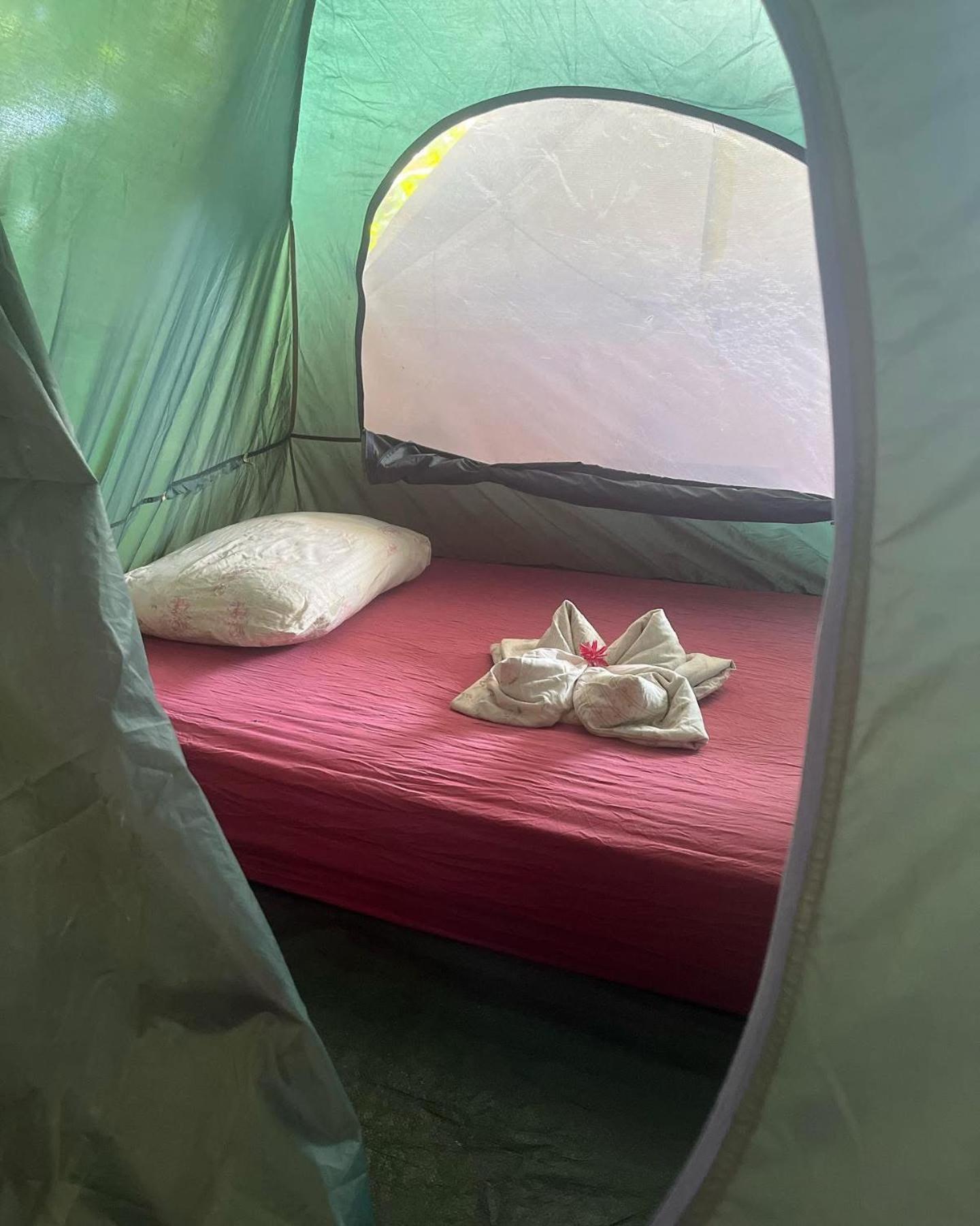 La Y Surf Camp Otel Bocas Town Dış mekan fotoğraf