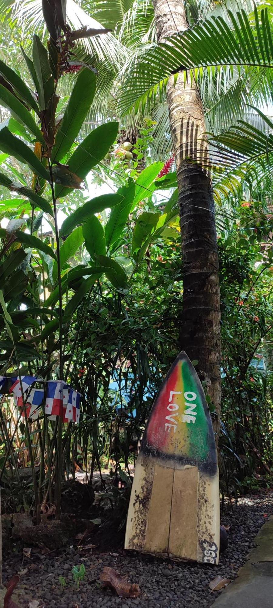 La Y Surf Camp Otel Bocas Town Dış mekan fotoğraf