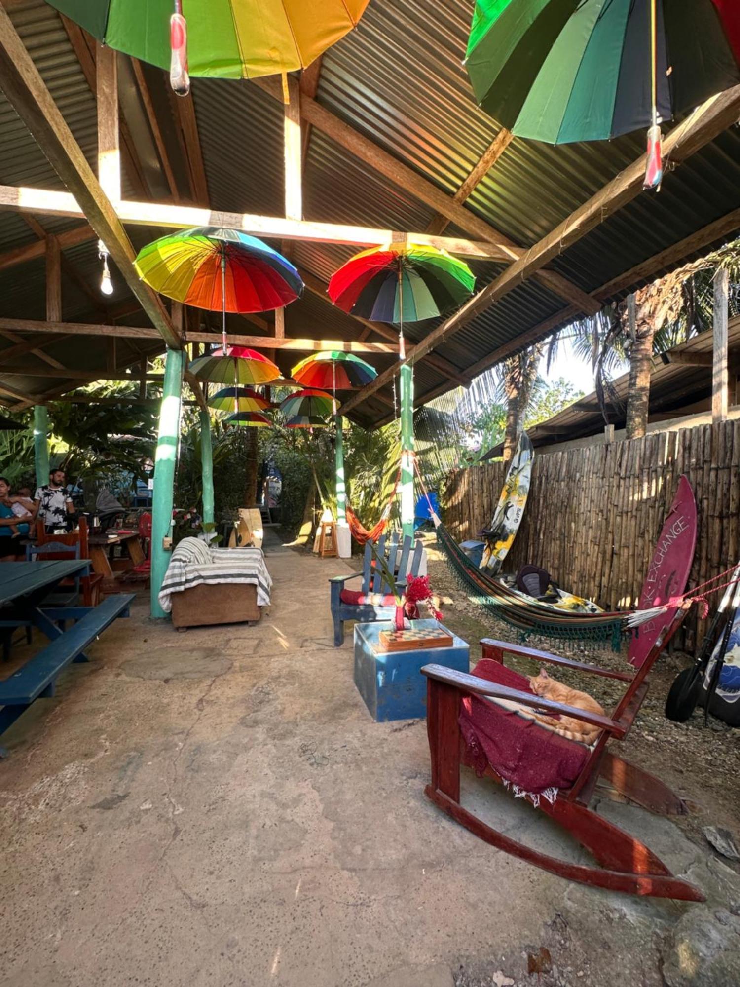 La Y Surf Camp Otel Bocas Town Dış mekan fotoğraf